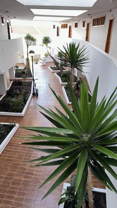 Playa Feñabe Ferienwohnung Modern,Strandnaehe, Club Olympus, Garten City Tenerife מראה חיצוני תמונה